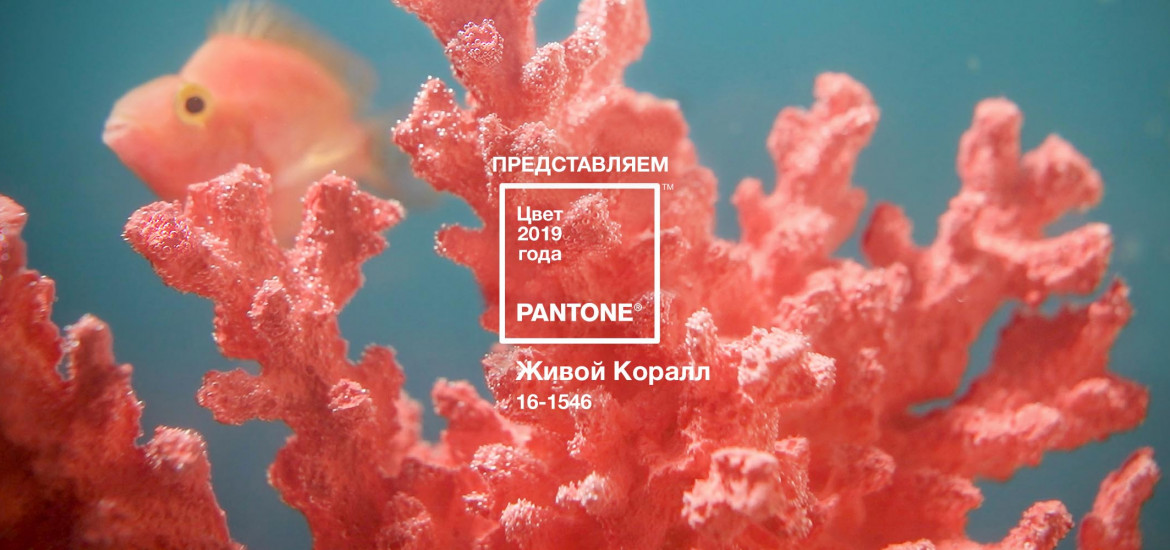 ПРЕДСТАВЛЯЕМ ЦВЕТ 2019 ГОДА